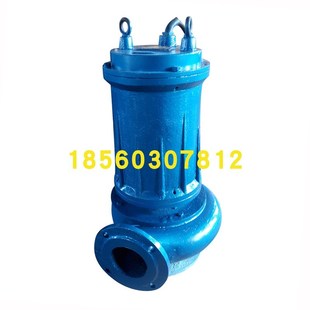 4污水泵抽固体颗粒抽纤维 4潜污泵 水库抽水 65WQ30 65QW40