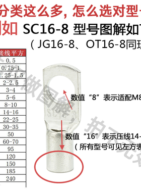 SC240-8/10/12/14/16/20窥口短铜鼻子 铜线耳240平方压线鼻铜接头