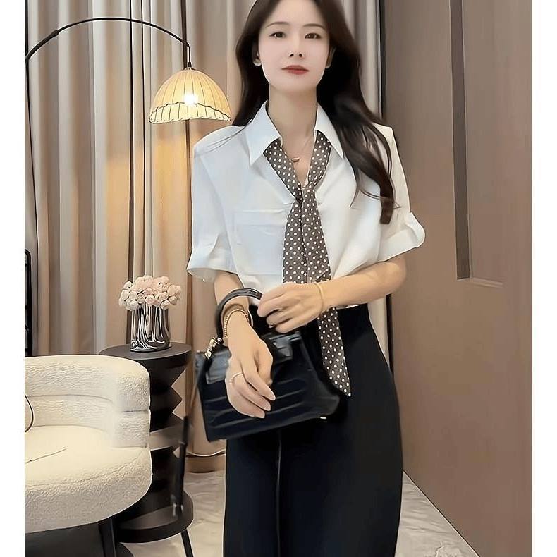 通勤百搭丝巾领短袖衬衫女夏款图片