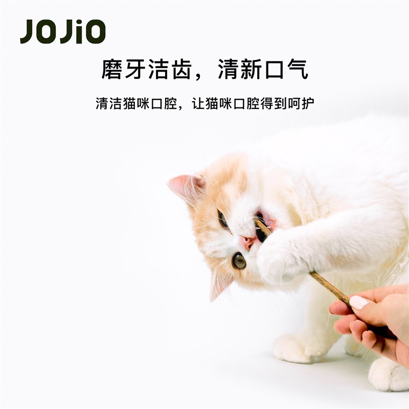 JOJIO木天蓼猫咪磨牙棒猫薄荷洁齿幼猫啃咬逗猫棒猫玩具用品零食