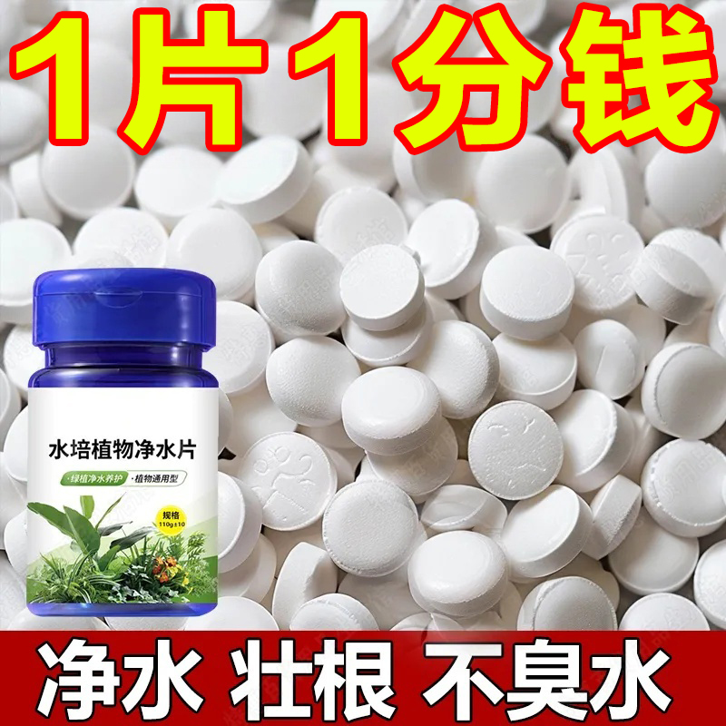 水培植物净水片除臭杀菌消毒富贵竹碗睡莲专用净化水质鲜花保鲜片
