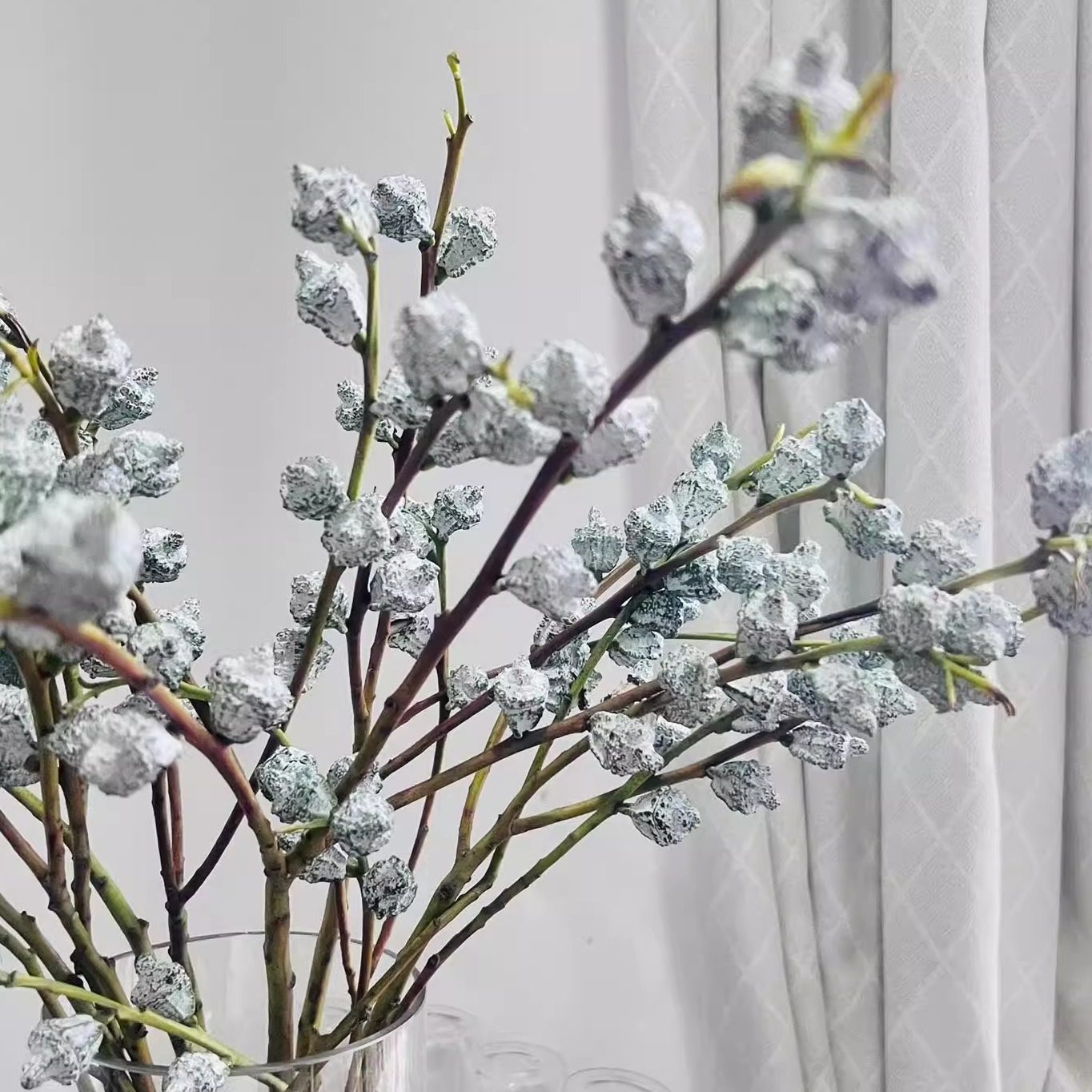 钻石尤加利果大果鲜花可做干花【云南基地直供花材】,鲜花速递/花卉仿真/绿植园艺,花材,淘宝优惠券,粉丝福利购,淘宝优惠卷