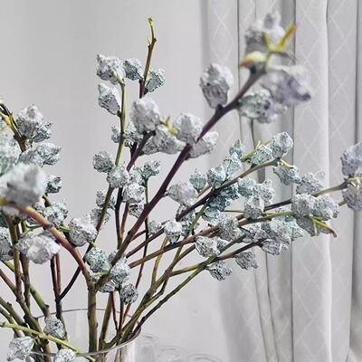 干插干放耐放好养鲜花鲜果