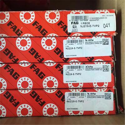 FAGNJ219-E-TVP2德国进口轴承NJ220NJ222NJ224NJ226EM1C3