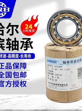 HR哈尔滨轴承NDBZ1E4EMNE15MN16M二类圆B柱滚子轴承