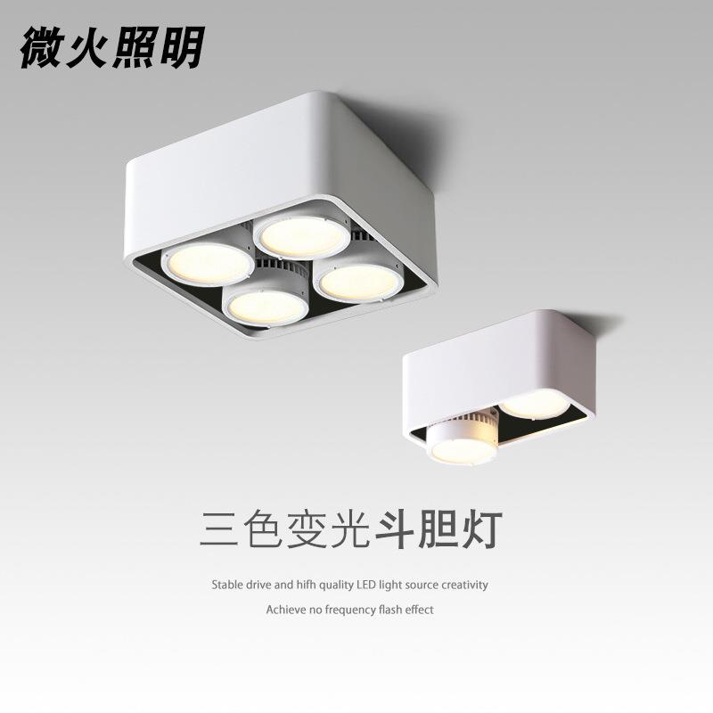 明装筒灯led客厅家用无主灯护眼双头斗胆灯单头GX53光源筒灯无频