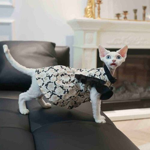 玫瑰花边拼色裙透气发财无毛猫衣服德文衣服斯芬克斯猫可爱