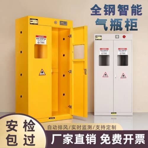 钢制防爆气瓶安全柜实验室乙炔双瓶氧气气体智能钢瓶专用柜检测柜