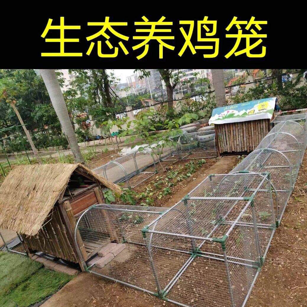 走地鸡笼跑道养鸡隧道笼子农场户外溜达鸡笼子庭院农家用散养鸡笼