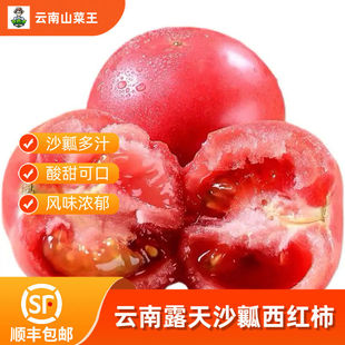 顺丰可选 云南高山新鲜沙瓤番茄自然熟西红柿老品种粉果红农家5斤