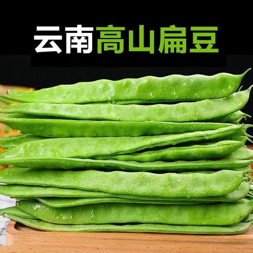 云南高山露天现摘扁豆角当季