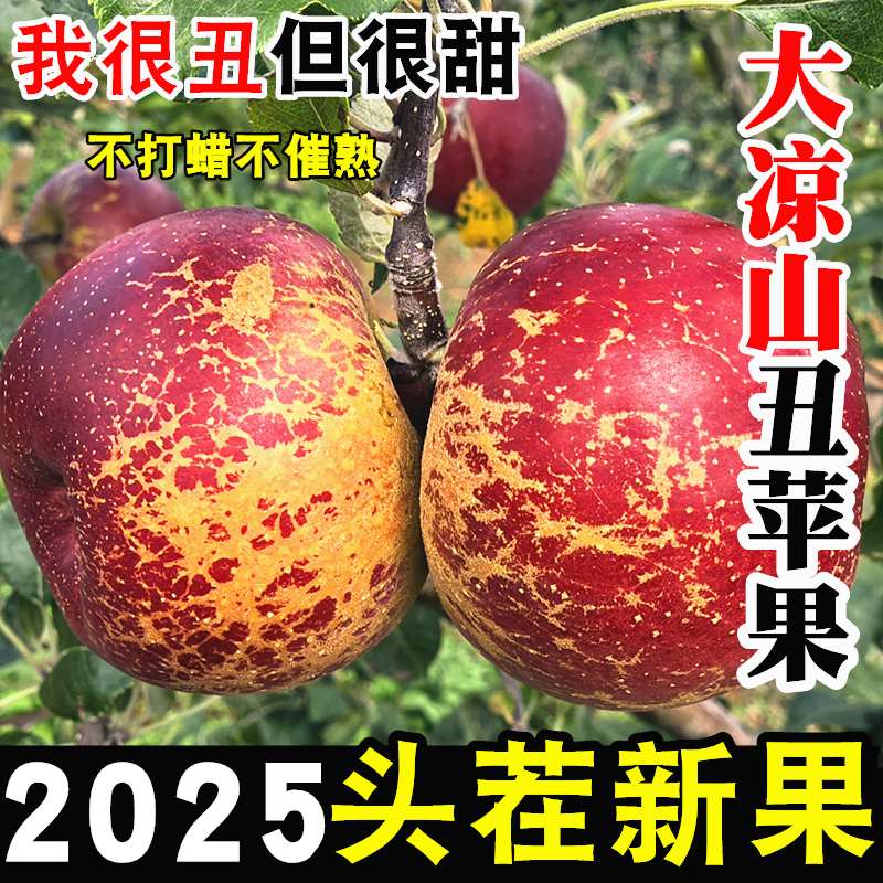 四川大凉山丑苹果盐源丑平果正宗冰糖心新鲜水果甜脆整箱包邮9斤,水产肉类/新鲜蔬果/熟食,苹果,淘宝优惠券,粉丝福利购,淘宝优惠卷
