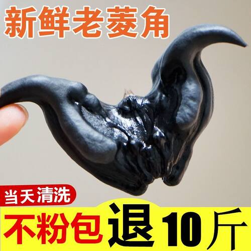 现摘水果菱角新鲜生吃脆甜熟粉糯