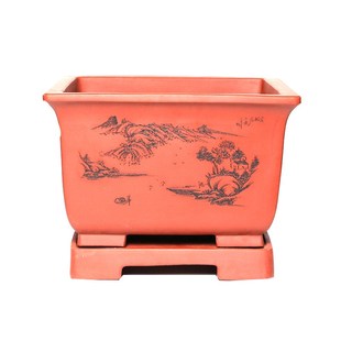 君子兰花盆陶瓷大号中国风简约室内客厅特大号发财树紫砂花盆景盆