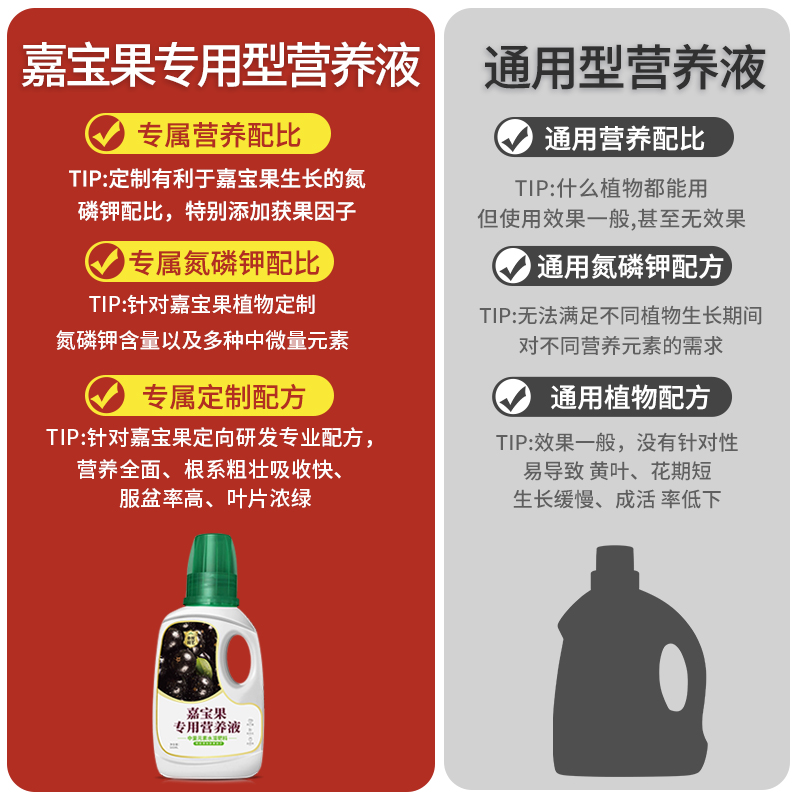 番茄营养液圣女果小番茄肥料催果结果有机肥盆栽西红柿专用肥料