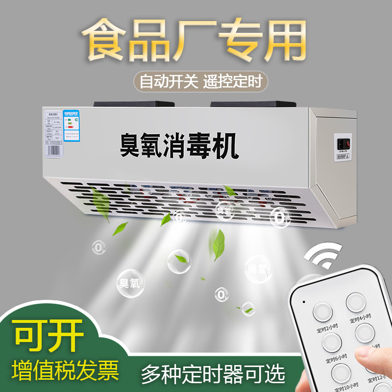 壁挂式臭氧发生器消毒机食品厂车间垃圾分类房商用10g20g除臭杀菌