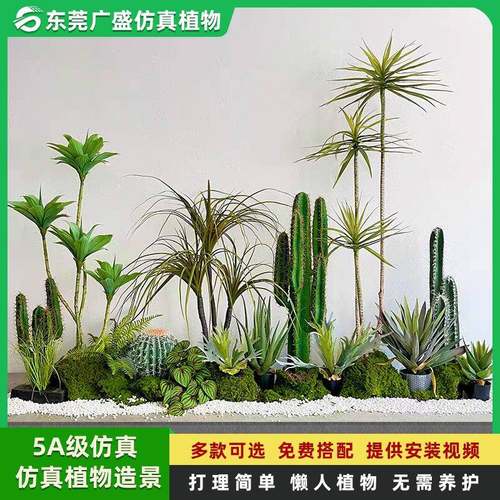 仿真仙人掌假绿植盆栽室内场景绿植装饰摆件仙人柱套装假植物造景