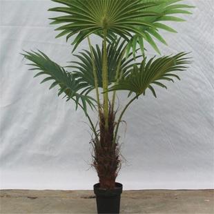 大型落地景观装饰塑料假花客厅装饰假绿植仿真棕竹葵树盆栽