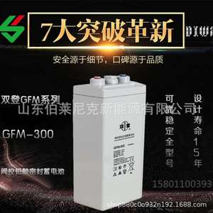 双登GFM-1000双登免维护蓄电池2V1000AH 电力基站 太阳能2V500AH