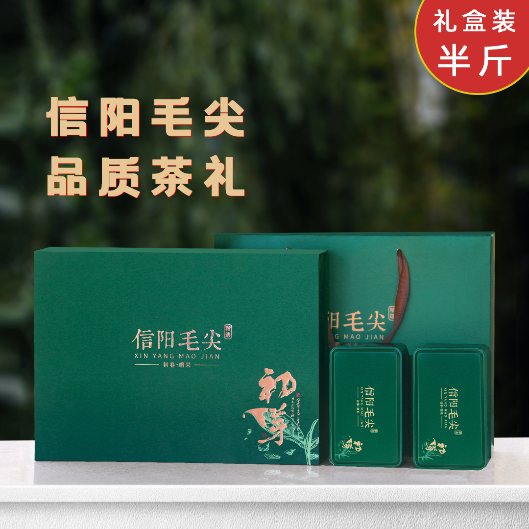 信阳毛尖绿茶礼盒装250克雨前高山嫩芽云雾浓香耐泡茶叶新茶春茶