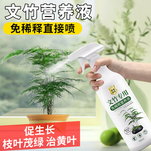 文竹营养液治黄叶花肥云竹专用肥料云松水培盆栽免稀释液体肥养护
