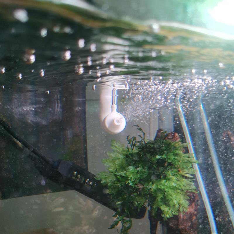 过滤桶TOTTO水泵出水口增氧器无动力喷氧头纳米气盘空气制氧扩散