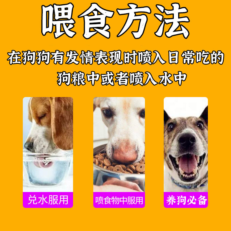 狗狗绝育 永久性犬用禁情液狗用品大全宠物用品防止狗发情乱爬