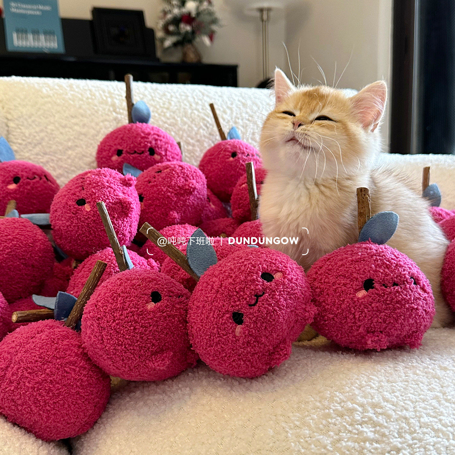 DUNDUN猫咪磨牙玩具耐咬木天蓼猫玩具自嗨解闷逗猫棒宠物用品,宠物/宠物食品及用品,发声玩具,淘宝优惠券,粉丝福利购,淘宝优惠卷