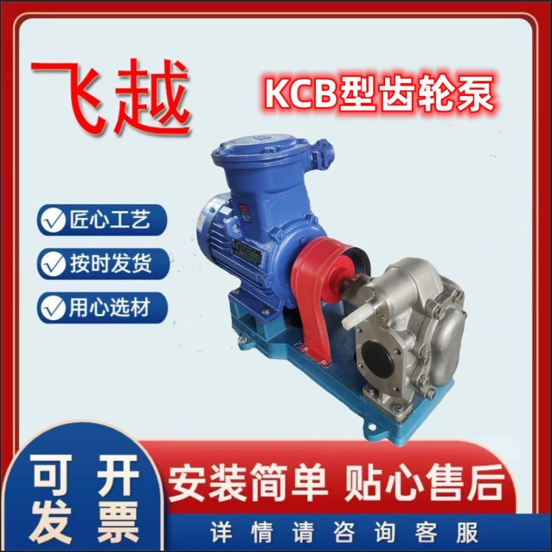 燃料泵不锈钢304材质kcb200现货销售输送汽油大流量油泵化工泵