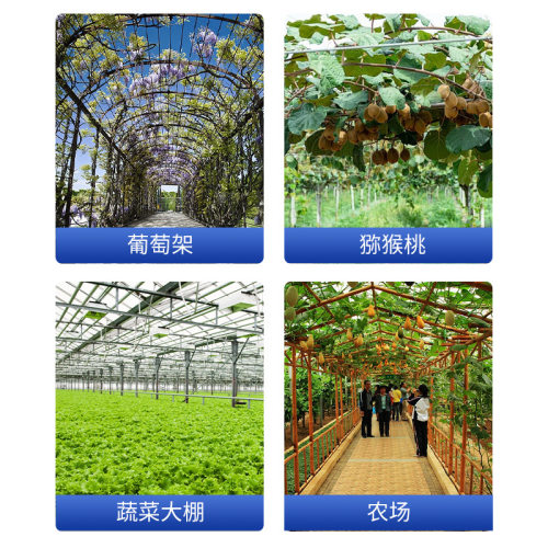葡萄架蔬菜大棚紧线器 小型免焊免钉防腐防锈镀锌钢丝拉直拧紧器