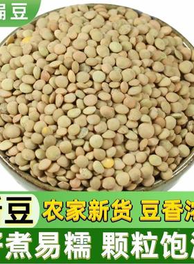 小扁豆500g金豌豆低脂健身五谷杂粮甘肃绿扁豆Lentils发豆芽兵豆