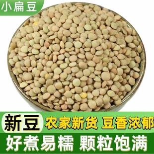 小扁豆500g金豌豆低脂健身五谷杂粮甘肃绿扁豆Lentils发豆芽兵豆