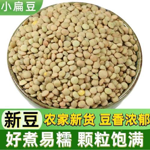 小扁豆500g金豌豆低脂健身五谷杂粮甘肃绿扁豆Lentils发豆芽兵豆