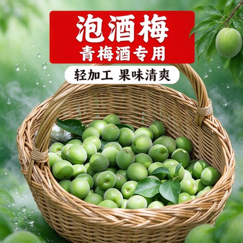 轻加工青梅鲜果泡酒半成品青竹梅生梅子酿酒蜜饯自酿新鲜休闲专用