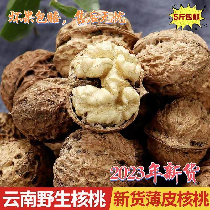 今年新货云南核桃薄皮纸皮干生核桃坚果孕妇小零食小老树古树核桃