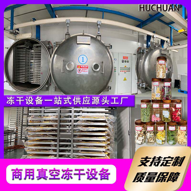 智能化控制冻干机 果蔬中药材专用FD冻干设备 面膜大型冻干机商用