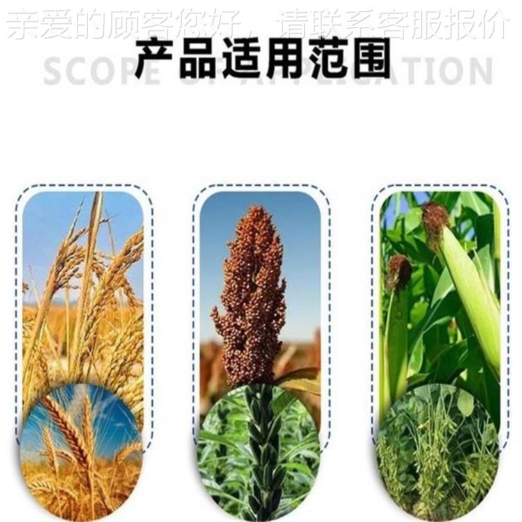玉米干设备生产厂家 车载干移动水稻烘机小WWS型移动粮食干燥 设