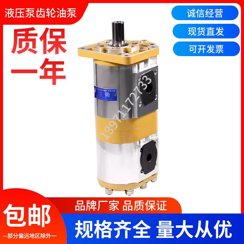 合肥长源液压双联齿轮油泵CBNL-F563/525-BFHL液压泵高压动力油泵