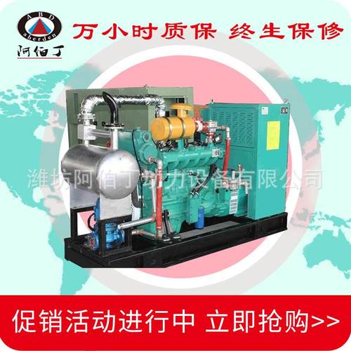 潍坊小型家用沼气电机50kw 养殖场用发电机 小型50kw沼气发电机组