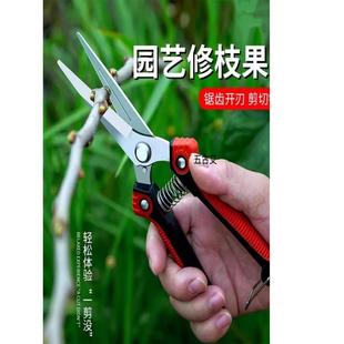不锈钢省力修枝剪稀果剪葡萄剪采摘花椒火龙果蔬菜多功能园艺剪刀
