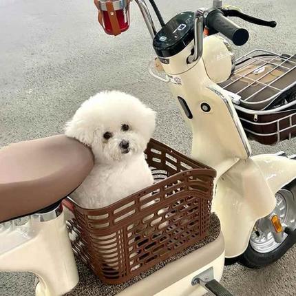 狗狗收纳筐宠物电瓶车电动车创意猫咪踏板宠物车筐椅座椅筐坐篮