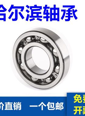 哈尔滨轴承6317 6318 6319 6320 6322 6324 6326 6328 6330 RZ RS