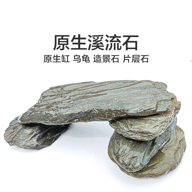 鱼缸天然原生造景乌龟溪