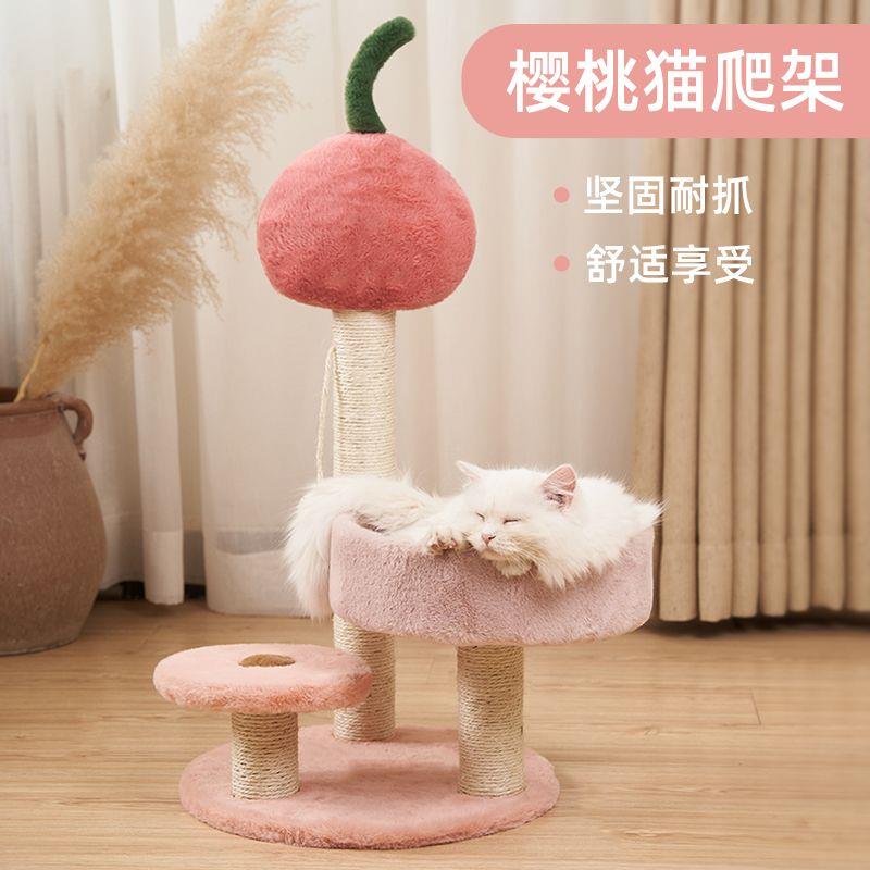 猫爬架窝猫树一体逗猫玩