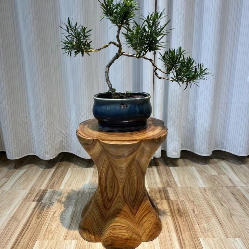 香樟木根雕实木造型换鞋凳子树根花架底座创意客厅樟树木凳子圆形