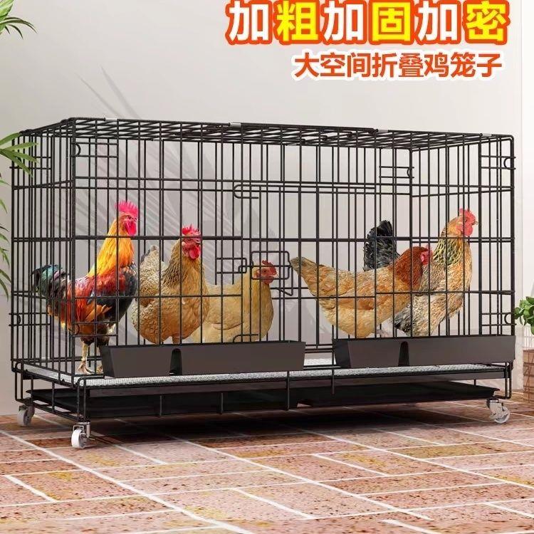鸡笼子家用养殖笼特大号