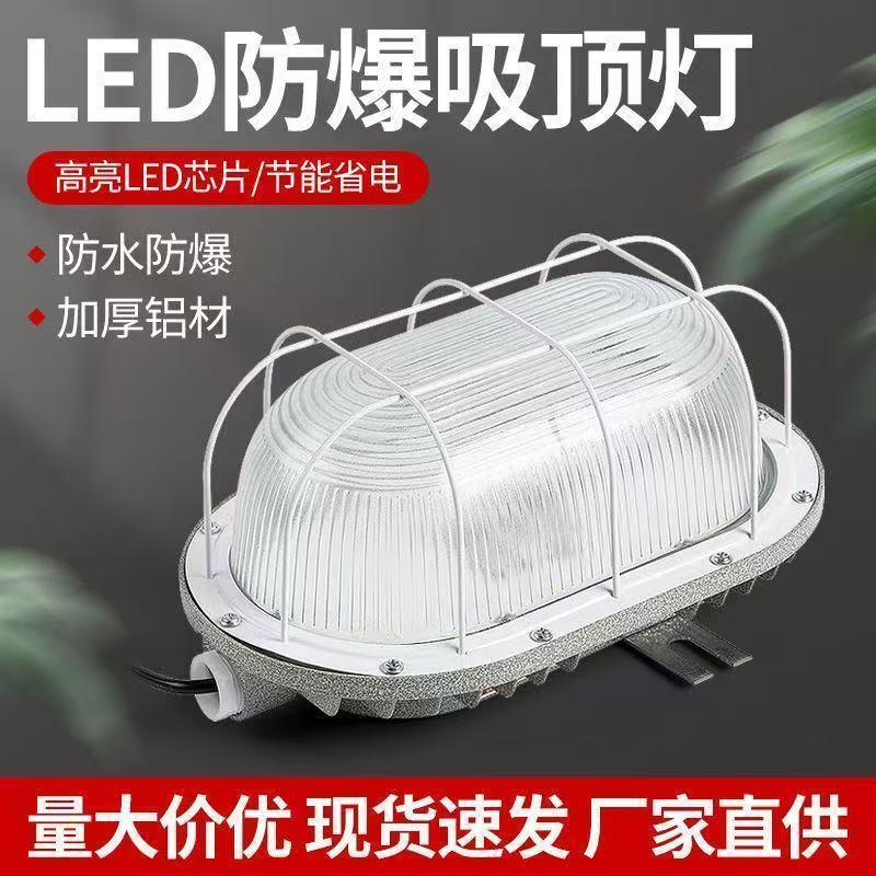 LED防潮防水防爆灯吸顶防