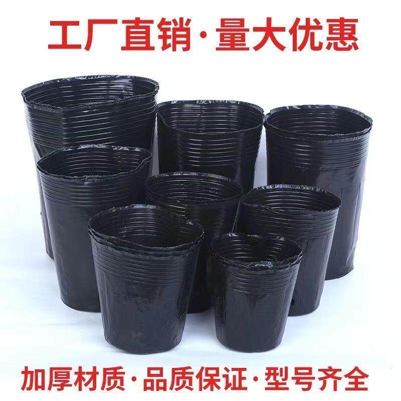 槟榔营养钵加厚育苗盆塑