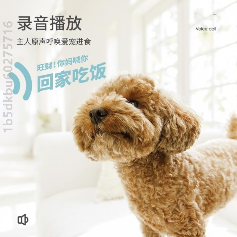 狗狗自动喂食器犬喂狗粮机猫咪宠物定时定量神器智能投食机投喂器