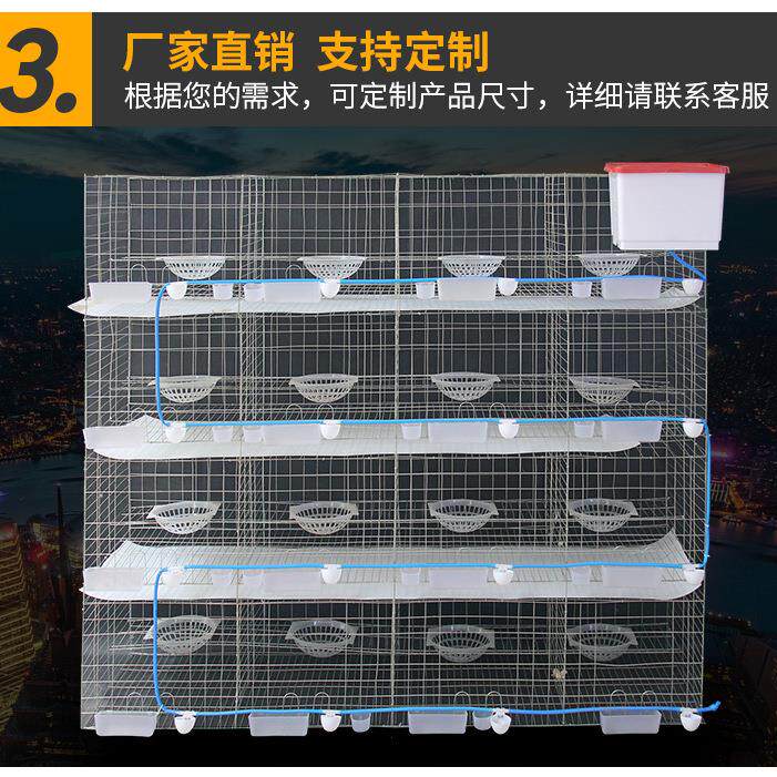 鸽子笼家用鸽棚鸽房鸽子笼子 大号肉鸽养殖笼繁殖鸽笼鸽用品用具